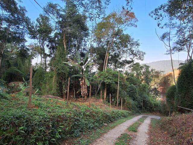 Terreno para Venda em Paraty - 4