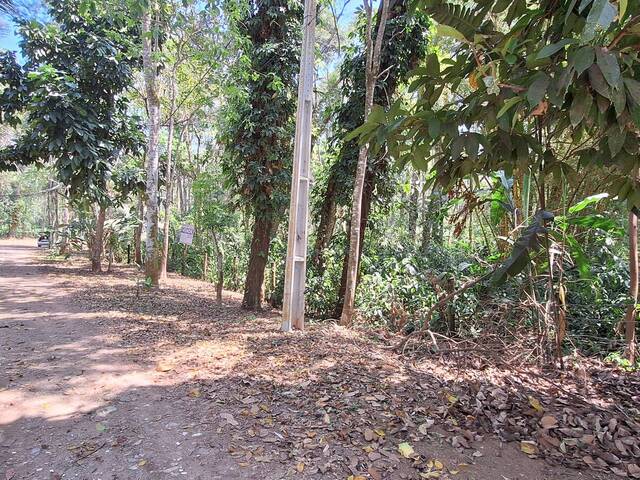 #T04 - Área para Venda em Paraty - RJ - 3