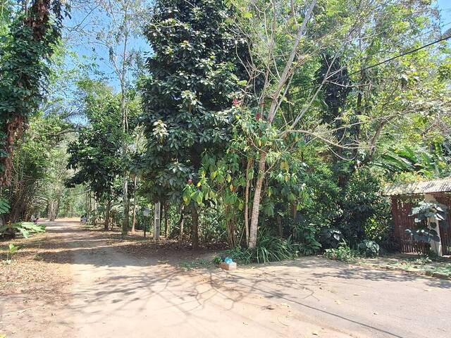 #T04 - Área para Venda em Paraty - RJ - 2